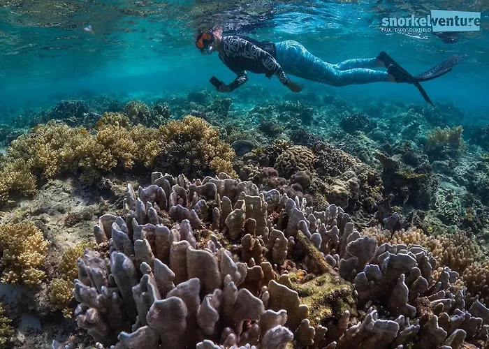 Resort Magic Island Dive