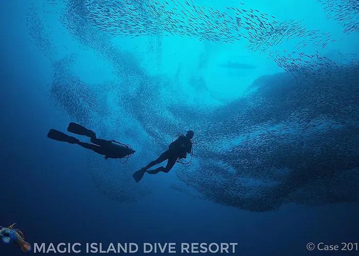 Magic Island Dive Moalboal